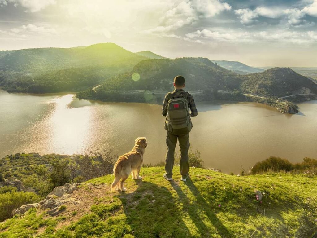 dog mountain and lake